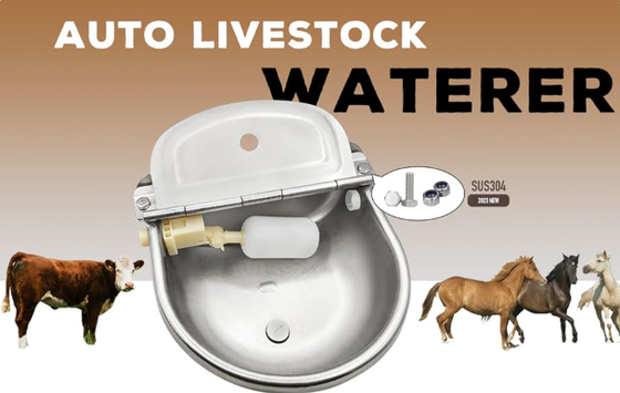 Acquario per bestiame in polvere rivestito di corrosione resistente vasca da bere facile da collegare con il sistema di approvvigionamento idrico di fattoria per l'uso in stalla di bovini
