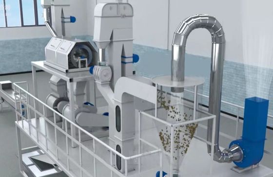 XDEM Palm Kernel Shell Peeling Crushing Oil Press Machine Automatic Palm Nut Cracking and Separating System (Sistema automatico di rottura e separazione delle noci di palma)