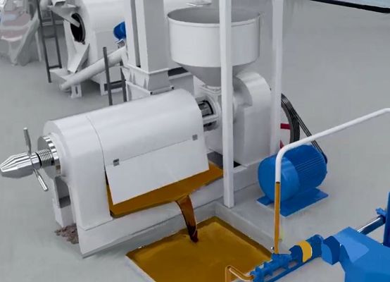 XDEM Palm Kernel Shell Peeling Crushing Oil Press Machine Automatic Palm Nut Cracking and Separating System (Sistema automatico di rottura e separazione delle noci di palma)