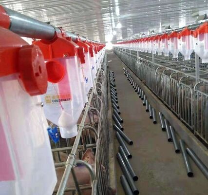 Apparecchiature per animali da allevamento rivestite in polvere resistente alla corrosione con bordi arrotondati per attrezzi di allevamento sicuri