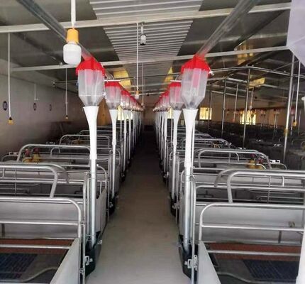 Apparecchiature per animali da allevamento rivestite in polvere resistente alla corrosione con bordi arrotondati per attrezzi di allevamento sicuri