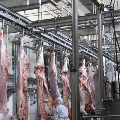 Apparecchiature di macellazione Semi-automatico PLC di controllo in acciaio inossidabile 220V/380V Per suini, bovini e pecore Completa linea di lavorazione del macello certificata CE
