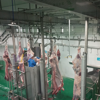 Equipaggiamento di macellazione Controllo PLC in acciaio inossidabile Linea di macellazione di trasporto automatico per una lavorazione efficiente della carne animale Certificato CE